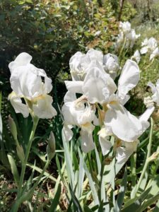 IMG_20210424_131040
