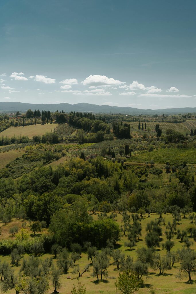 pexels-photo-13781395-13781395-1 Capture the rolling hills and lush vineyards of San Gimignano, Tuscany on a sunny day.